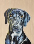    custom     Hand Painted Pet Portrait  Pastel  Acrylic  Water Or Graphite Any Size