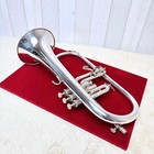 Yamaha Flugelhorn Yfh-8310u W case