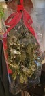  Fresh Cut Real Mistletoe Beautiful Bunch Ready To Hang 4-6  Long Full