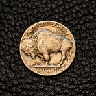  itm-8402  1925-d Buffalo Nickel   Very Fine  vf  Condition   Combined Shipping 
