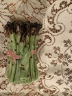 Vintage 1950 s Mcm Bordallo Pinheiro Small Asparagus Serving Tureen W  Lid