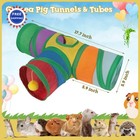 Guinea Pig Tunnel 3 Way Collapsible Small Pet Tunnels Tubes Interactive Ball