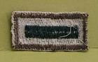 Boy Scout Assistant Patrol Leader Patch 2 Bar Bsa New