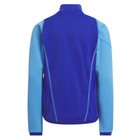 Adidas Tiro23 Competition Training Quarter Zip Pullover Youth Boys Blue Casual A