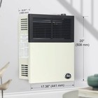 Ashley Hearth Products 11 000 Btu Direct Vent Liquid Propane Wall Mount Heater
