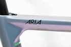 Bianchi Carbon Road Frame 700c Size 50 Aria Disc Summertime Dream  cowman
