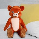 Maurice Sendak Little Bear Plush Grizzly 17  Doll Book Series Character