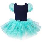 Girls Ballet Skirted Leotard Tutu Dress Princess Dance Costumes 3-8y