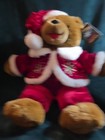 New Snowflake Friends Plush Stuffed Teddy Bear Red Velvet Hat   Outfit 2005 12  