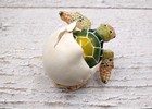 Green Baby Sea Turtle Hatching Painted Figurine  1 Turtle Approx  3  Inches  