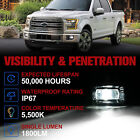 Fieryred Led Fog Light  Compatible With 2015-2019 F150  Bumper Placement  Black