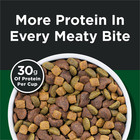 Purina Dog Chow High Protein Dog Food Dry Recipe With Real Beef  44 Lb Bag