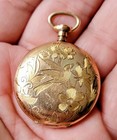 Antique Vintage Ladies Hampden Pocket Watch Hunter Case Small 20 Yr Gf - Birds