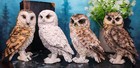 Realistic Colorful Nocturnal Snowy Barn Great Horned Owl Birds Figurine Set Of 4