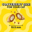 2p Temptations Mixups Catnip Fever Flavor Crunchy And Soft Cat Treats  48 Oz Tub