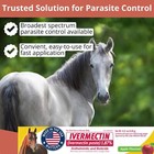 Durvet Pyrantel Paste Horse Dewormer 0 21 Oz