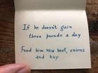 Vintage Nursery Baby Greeting Card W  Poem Hand Home Made Elma Feed Beef Onions