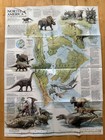 Vintage 1993 National Geographic North America Age Of Dinosaurs Poster Fold-out