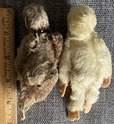 Lot 2 Rare Vintage Steiff  Miniature Jtd Mohair Jocko Monkeys Brown   White 4-5   
