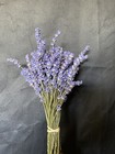 Dried Lavender Bundles  oregon  2024 Bundles