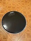 Ten  10  Assorted New Dw And Evans Drum Heads  new 