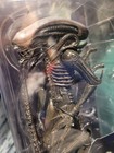 Neca Reel Toys Alien Isolation Xenomorph Action Figure 2015 New Sealed