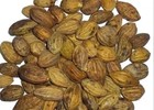 Organic Haritaki  terminalia Chebula  Raw   Haritaki Whole Dried Fruit