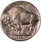 1929 Buffalo Nickel   Borderline Uncirculated  choice Au   
