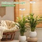 60  72 Led Grow Light Plant Growing Lamp Full Spectrum Indoor Plants With Timer