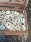 Lot Antique Mother Of Pearl Buttons Cigar Box See Below