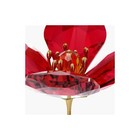 Swarovski Garden Tales Red Poppy Stem 5646018