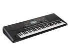 Korg Pa300 61 Key Professional Arranger