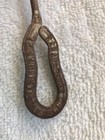 1906 Hanan   Baker Shoe Co-st Louis  Mo-iron Shoe Button Hook