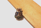 Vintage Order Of Red Men Pin Tote Totem Of The Eagle Freedom Charity Friendship