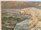 Polar Bear Adrift 400 Piece Jigsaw Puzzle  Zag Zaw Tuck Circa 1920