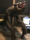 Crouching Werewolf Home Depot Halloween Animatronic Yard Decoration Prop 2019