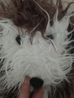 Melissa And Doug Scruffers Doodle Hand Puppet Plush 16  