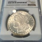 1878  cc  Morgan Silver Dollar   ngc Ms64    Free Shipping  799