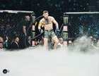 Ufc Conor Mcgregor Authentic Signed 11x14 Framed Photo Autographed Bas  bj071839