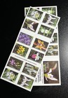 Usps  1100  Wild Orchids Forever Stamp Sheet pane  2 Books Free Shipping 