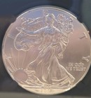 2017 Silver Eagle Ngc X Ms10     Perfect 1 Oz Silver Coin     Gold Silver Naples 