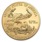 Random Year - 1 Oz Gold American Eagle  50 Us Mint Coin Bu - In Stock