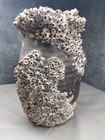 Antique Takotsubo Octopus Trap Japanese Old Pottery   4 7  h10 6in With Barnacles