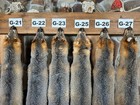 Liquidation Sale - 1x-lg Real Grey Fox Pelt commercial Garment Tanned 