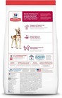 Hill s Science Diet Adult Salmon   Brown Rice Recipe Dry Dog Food  33 Lbs 