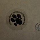 Paws Garfield Production Cel And Drawing 1985 Jim Davis Studio Seal Included