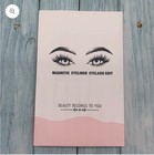 Magnetic Eyelashes 5 Pair Magnetic Eyeliner And Lashes Kit