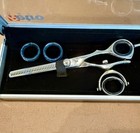 Excellent Condition-artero  etro  Thinning Shear Scissors Silver W original Case