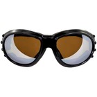 Birdz Eyewear Eagle Anti-fog Motorcycle Goggles Anti-fog Black Frame With