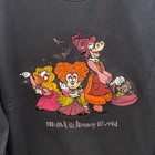 Disney Parks 2026 Wdw Hocus Pocus Sweatshirt Adult Sizes Nwt 